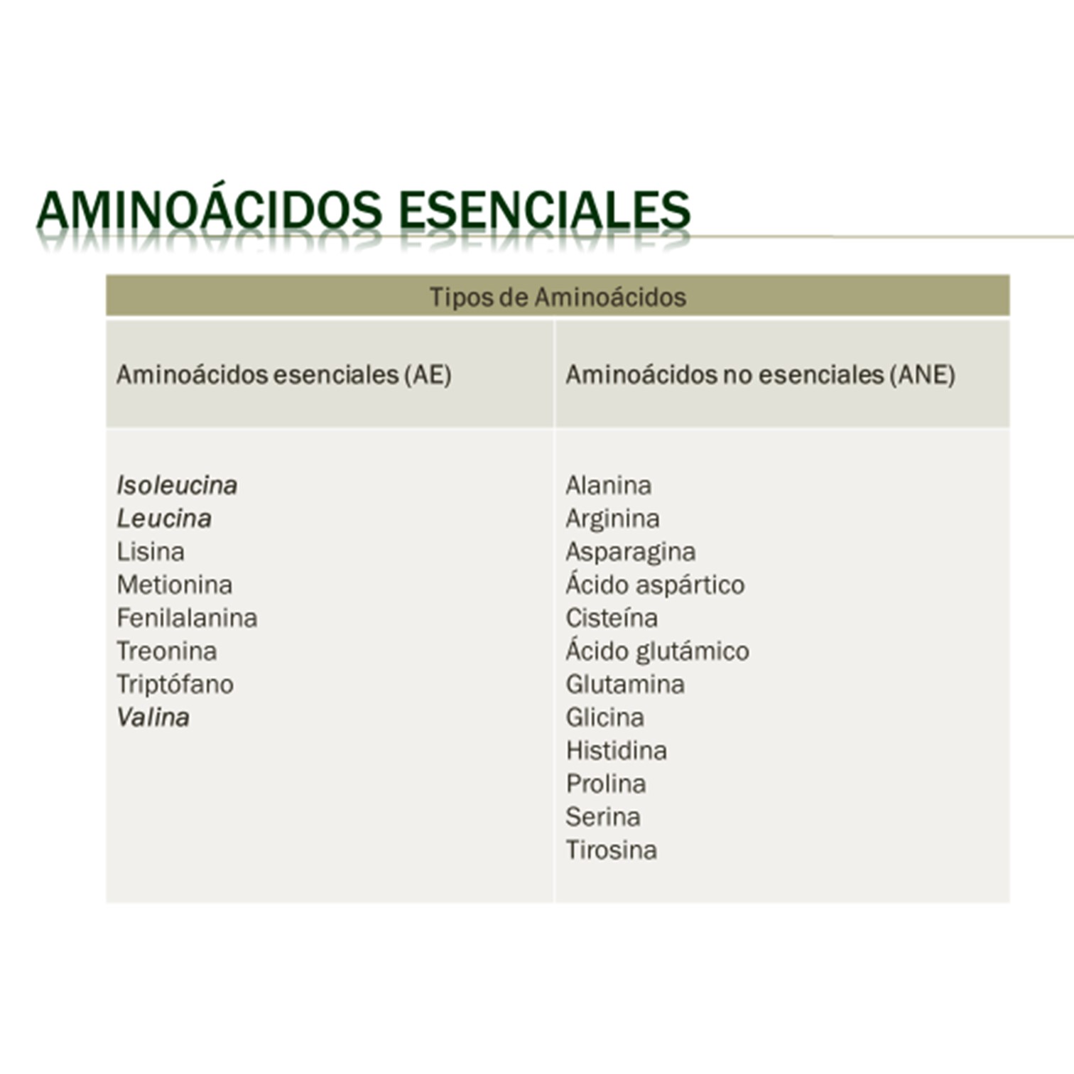 Certificación en Nutrición Deportiva