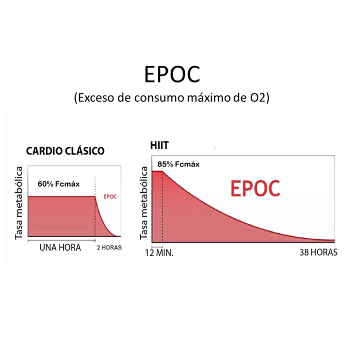 Certificación Entrenamiento HIIT