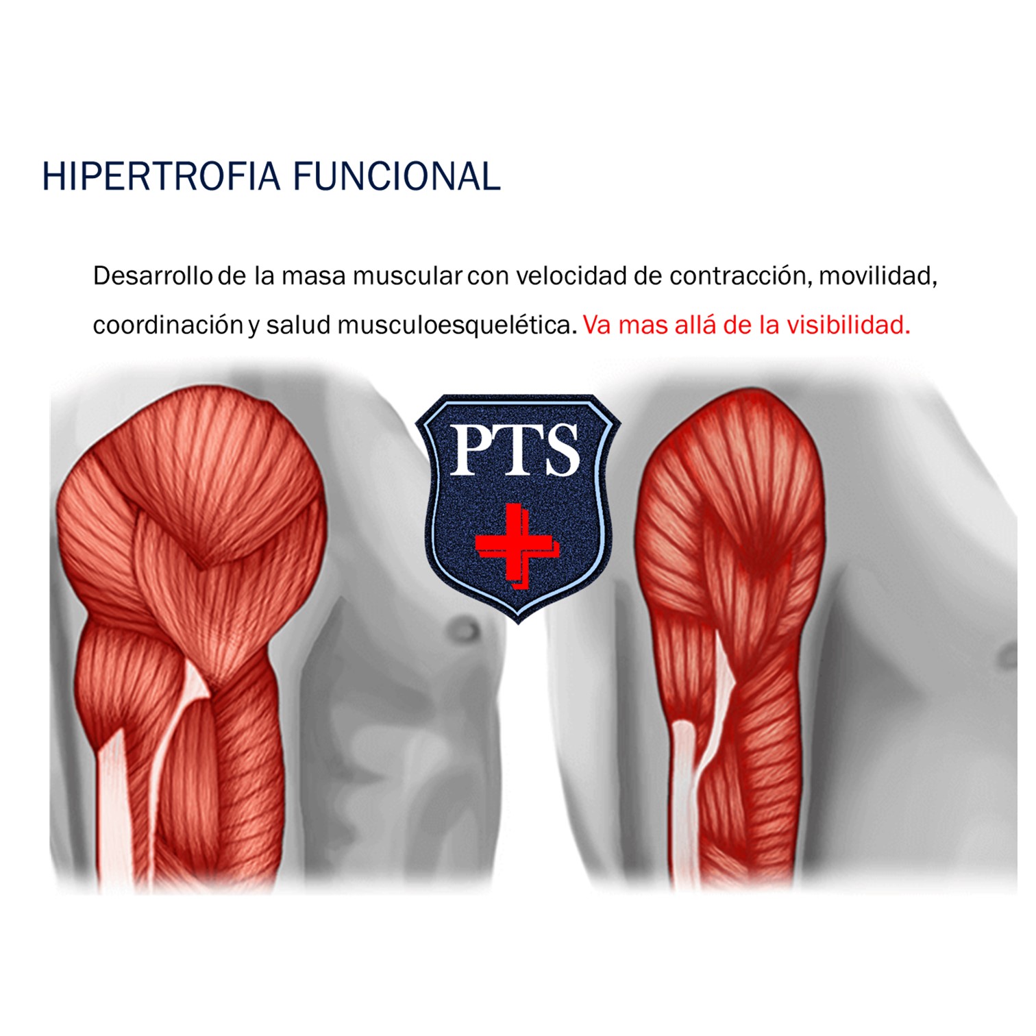 Certificación Especialista en Prevención de Lesiones y Recuperación