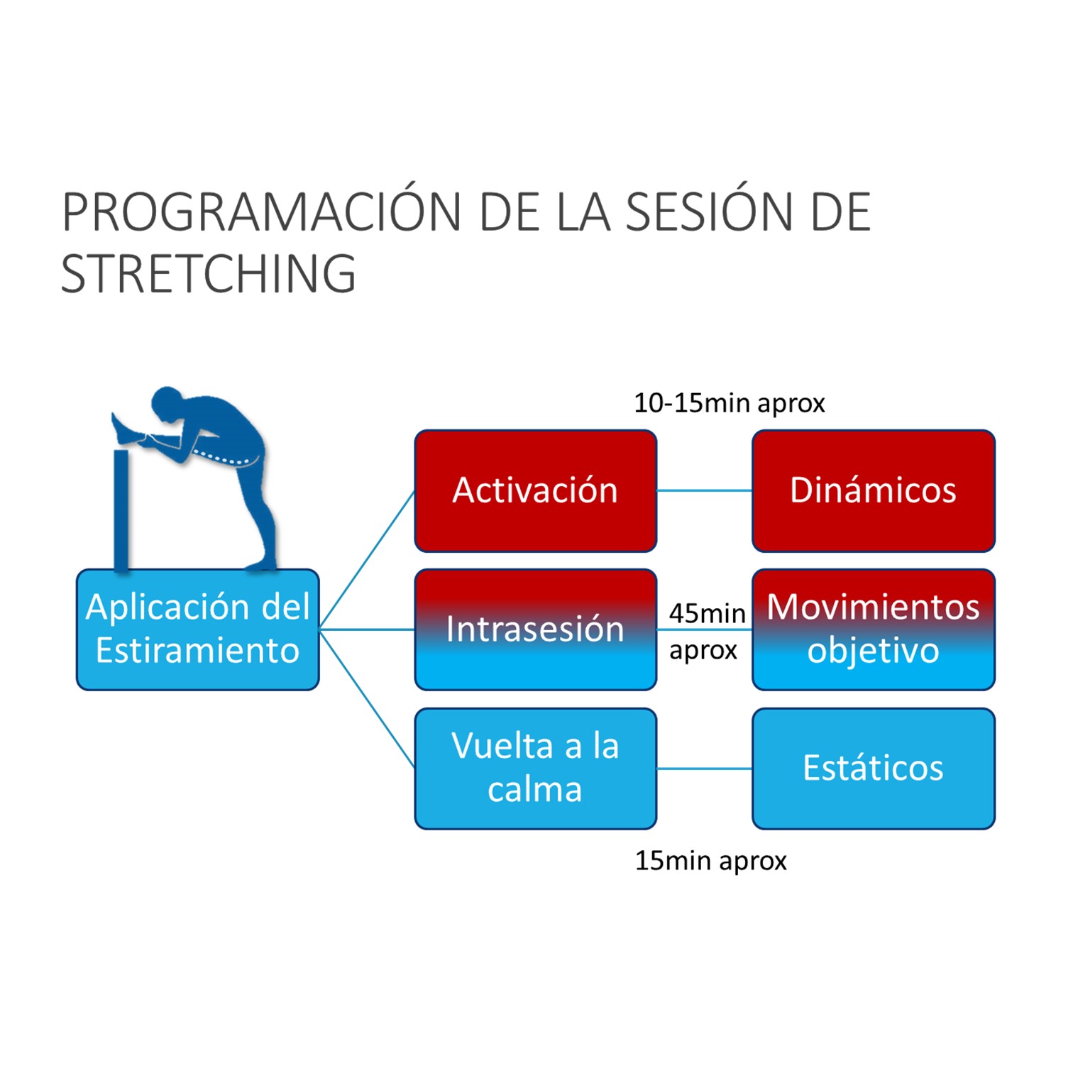 Certificación Instructor de Stretching