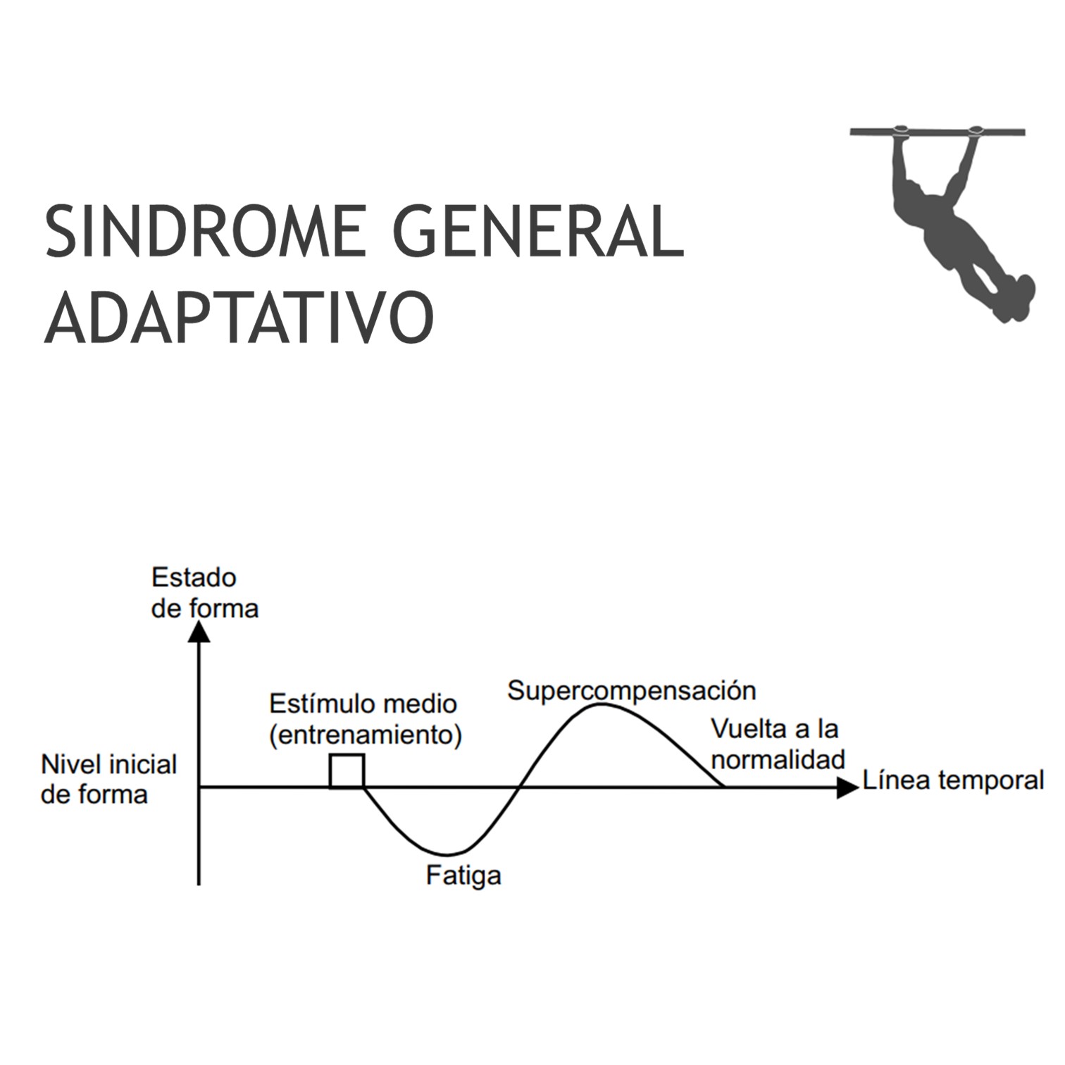 Especialización en Street Workout