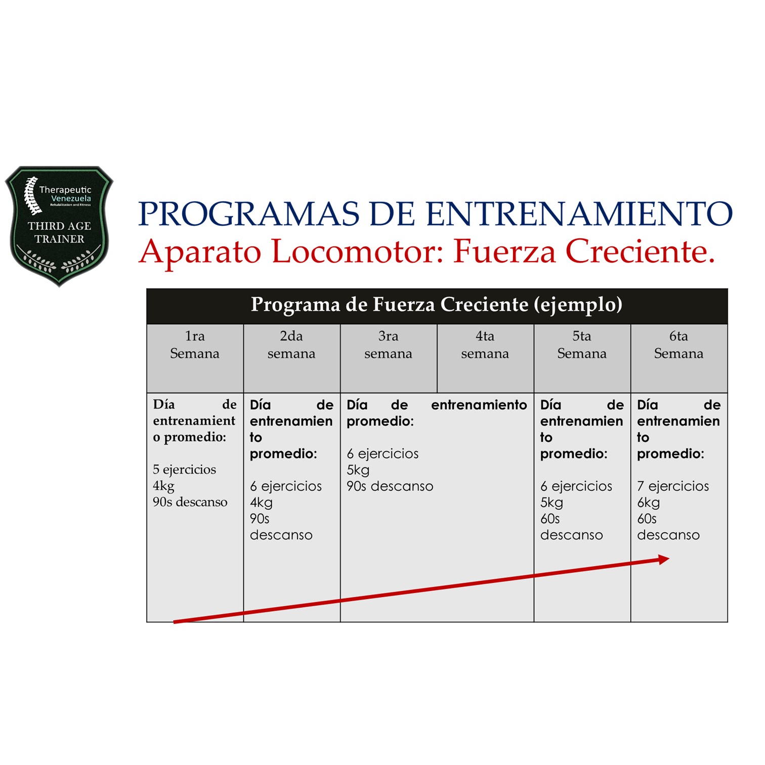 Certificación Entrenamiento en el Adulto Mayor