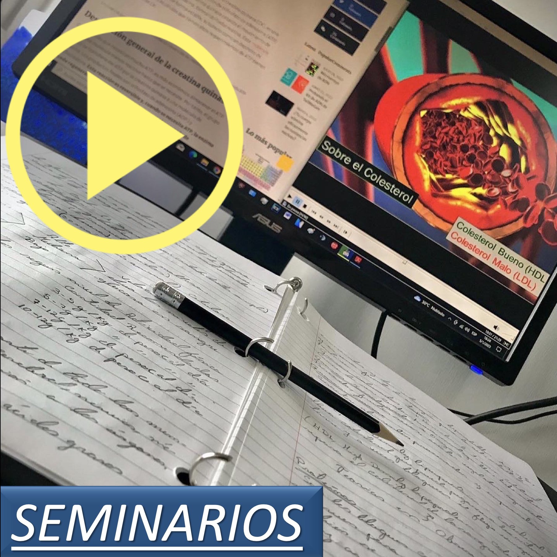 Seminarios